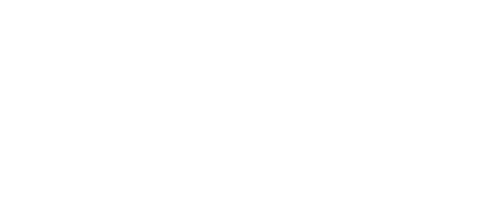 brommarecords.pro Logotyp